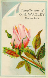 A advertisement card that says Compliments of O.N. Wagley Newton, Iowa. Underneath, it depicts a pink and red rose with a decorative boarder.